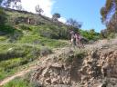 cyprus-mtb-ma-hrave-trate.JPG